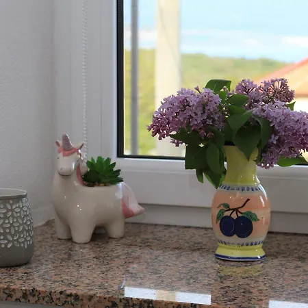 Kristina ורבניק